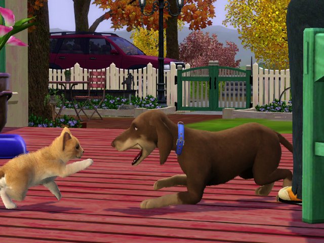 TS3_PETS_ANNOUNCE_CAT_DOG_PLAY_01