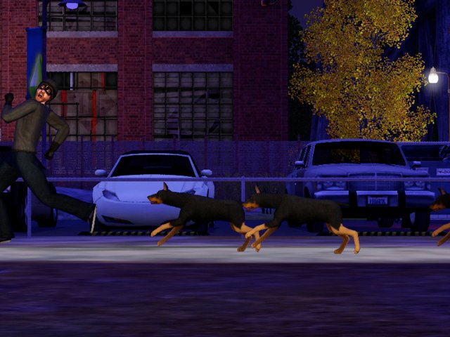 TS3_PETS_ANNOUNCE_DOG_CHASE_01