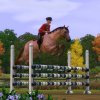 TS3_PETS_ANNOUNCE_HORSE_JUMP_01