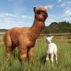 fs25ba-release_alpaca01