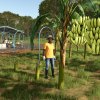 fs25ba-release_bananaaiworker02