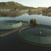 fs25_hf_aquaculture2